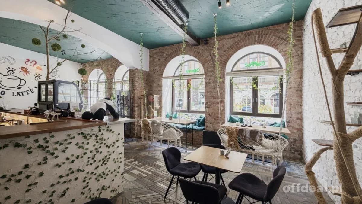 Odstępne - kawiarnia ze zwierzętami w centrum.