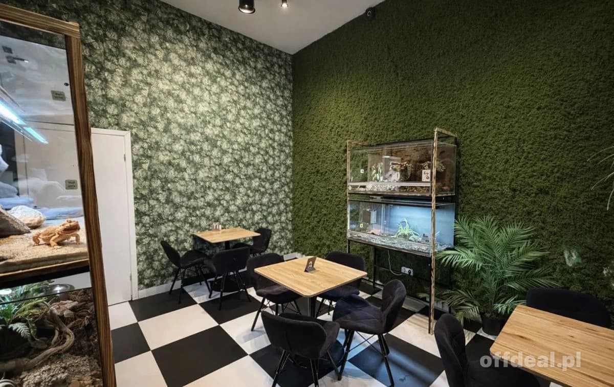 Odstępne - kawiarnia ze zwierzętami w centrum.